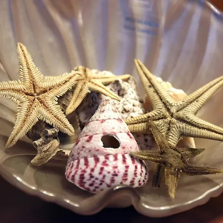 The Stunning ベッド・アンド・ブレックファスト 4*