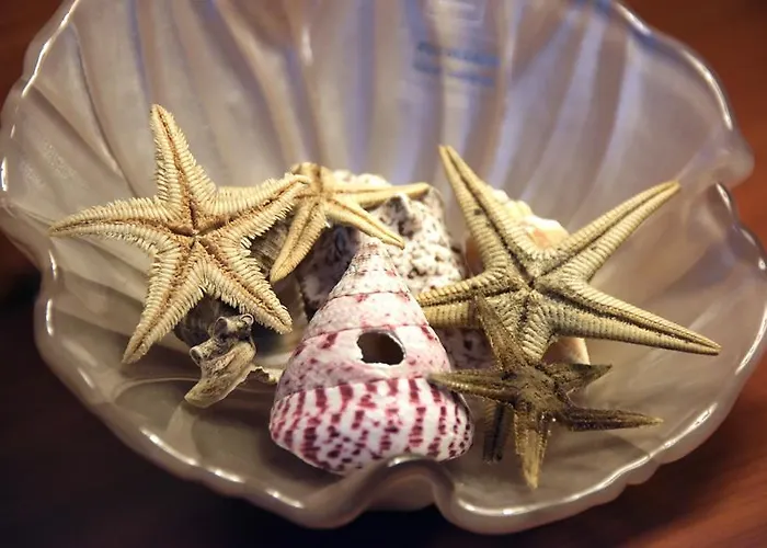 The Stunning לינה וארוחת בוקר 4*