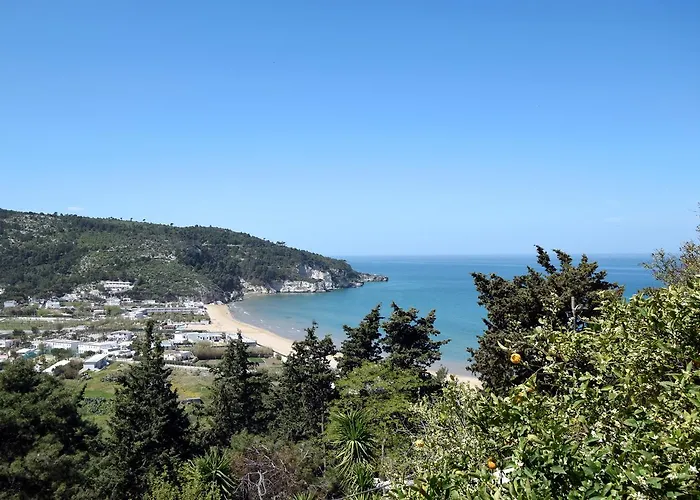 The Stunning 4* פסקיצ'י